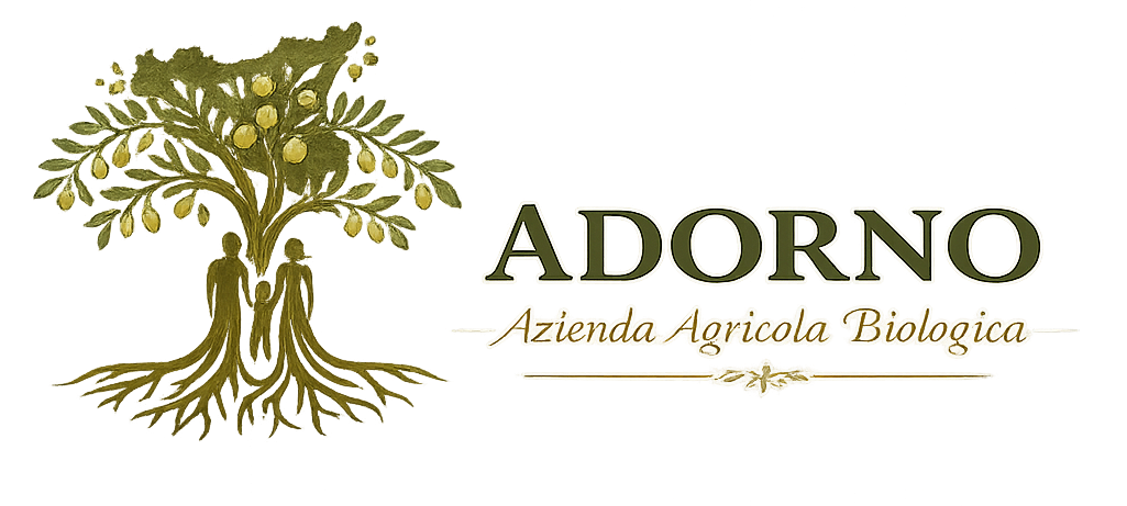 olio extravergine biologico siciliano delle madonie